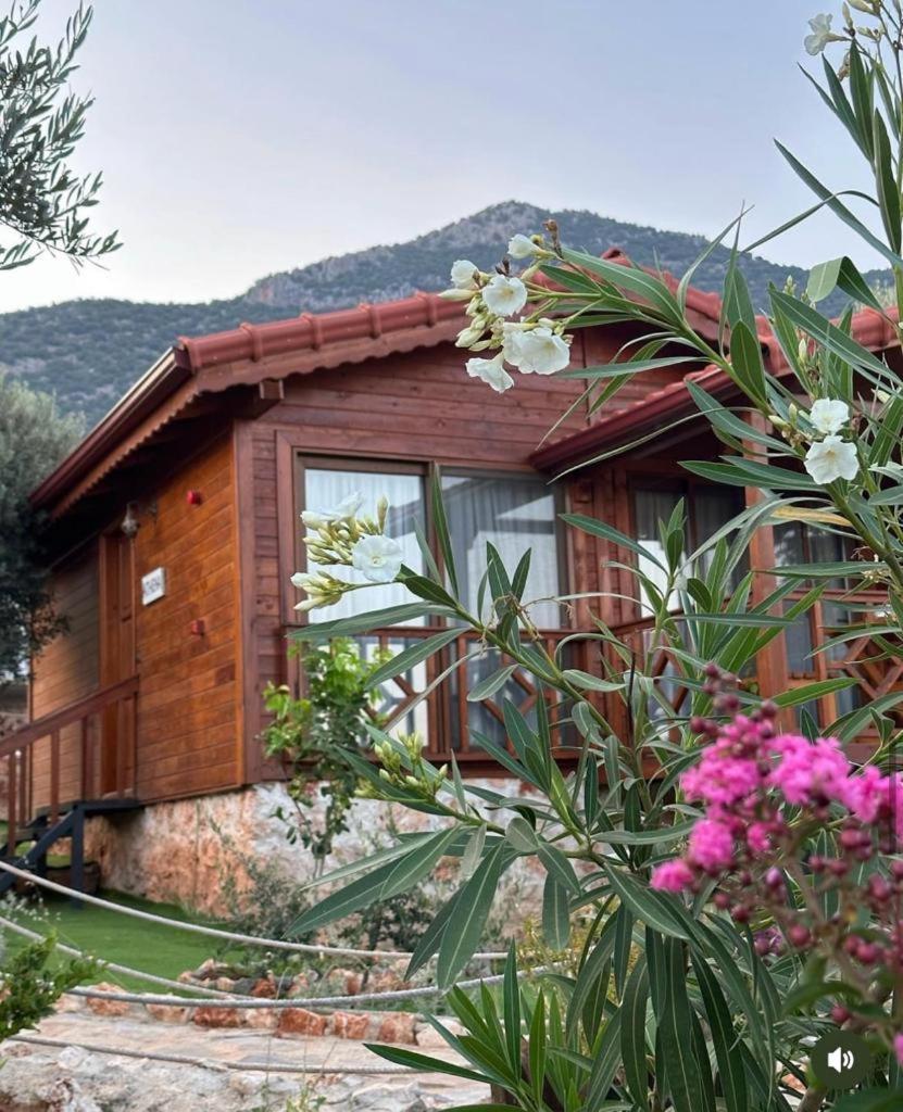 Doganin Ruhu Hotel & Bungalow 卡斯 外观 照片