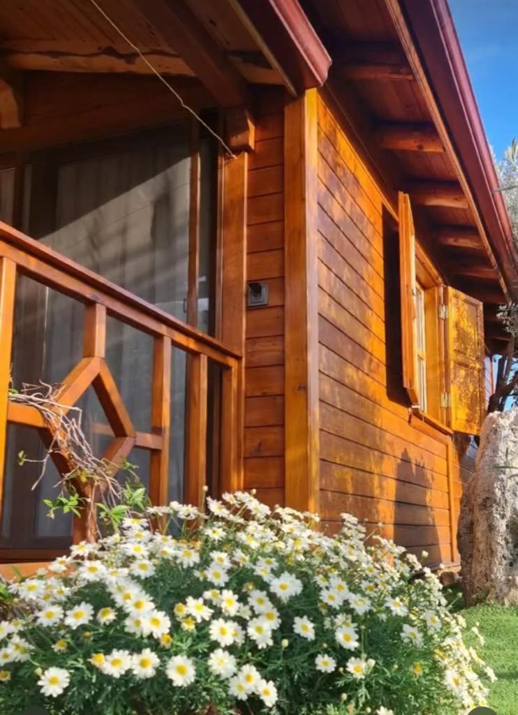 Doganin Ruhu Hotel & Bungalow 卡斯 外观 照片